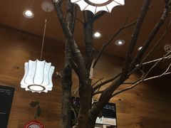 -茶颜悦色(登高路上店)