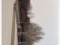 -望湖公园