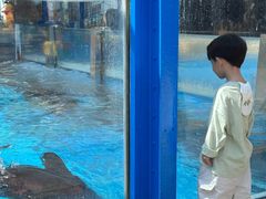 -海合安成都极地海洋公园