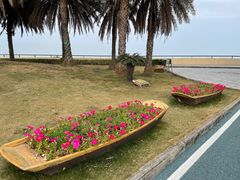 -大湾区中央湿地公园