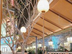 -桂满陇·海市蜃楼·黑金(国金店)