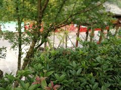 -楠柏弯休闲山庄(梨花溪店)