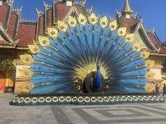 -西双版纳勐泐文化旅游区