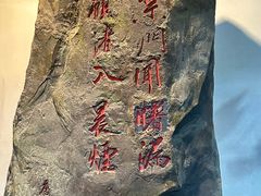 -大唐贡茶院