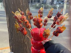 -蘇锦宴·淮扬菜烤鸭·小院(三元桥霄云路店)