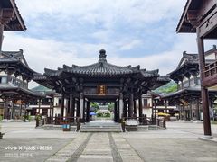 -大唐贡茶院
