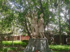 -瑞丽独树成林风景区