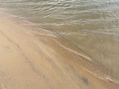 -呼兰河口湿地公园