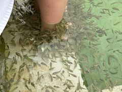 -汤山一号温泉度假区