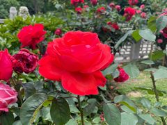 -南京东郊国宾馆