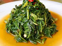 -通湖草原
