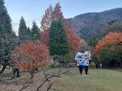 -雕刻之森美术馆