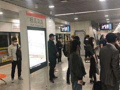 -杨高南路(地铁站)