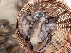 鲍鱼-芭菲盛宴·环球美食(袁家岗店)