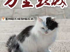 -慕田峪长城