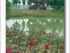 -苏州太湖国家湿地公园