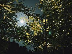 -北京益泉花园酒店