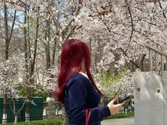 -南京明基医院