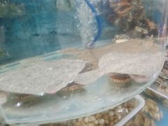 -鑫渔港海鲜本地菜·山海关浑锅(东戴河店)