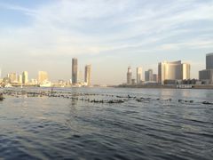 -海河外滩公园