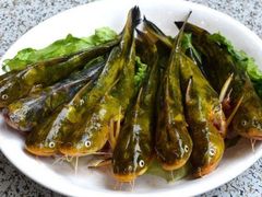 黄辣丁-卧龙鱼庄