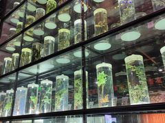 -广东中医药博物馆