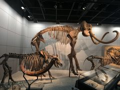 -浙江自然博物院(杭州馆)