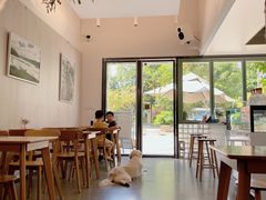 大堂-尤加利咖啡馆