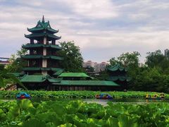 -桂湖森林公园