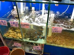 -华峰食馆(氹仔店)