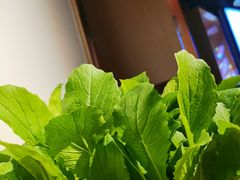 -番食园鲜食火锅(高新店)
