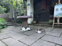 -法云安缦酒店