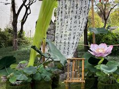 -厦门园林博览苑