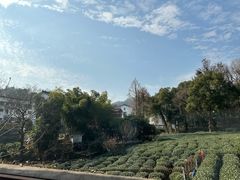 -野蔓果·山野菜(西湖景区·龙井茶田店)