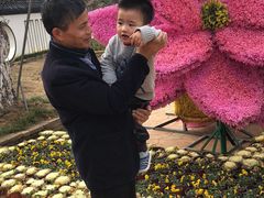 -武汉紫薇都市田园