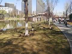 -西海子公园