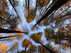 -山王坪喀斯特国家生态公园