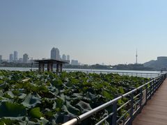 -月湖风景区