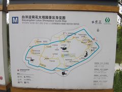 -白洋淀风景区