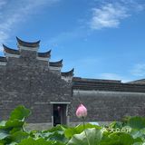 宁波｜总该为了这片荷花池来喝一杯荷塘咖啡吧