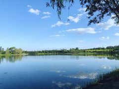 -东郊湿地公园