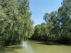 -大湾区中央湿地公园