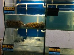 水产区-胖大嫂渔家排档·全海景餐厅(渔村店)
