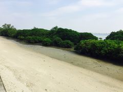 -霞山观海长廊