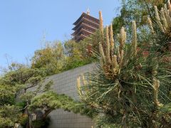 -牛首山文化旅游区