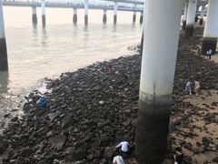 -演武大桥观景平台