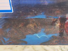 -香山湖渔家大院