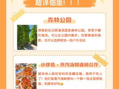 -日照海滨国家森林公园