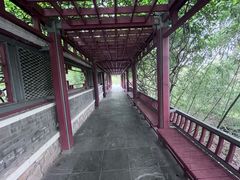 -北坞公园