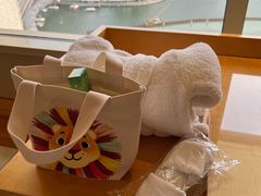 -新加坡丽思卡尔顿美年酒店